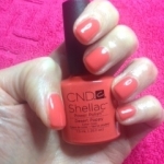 Shellac Desert Poppy